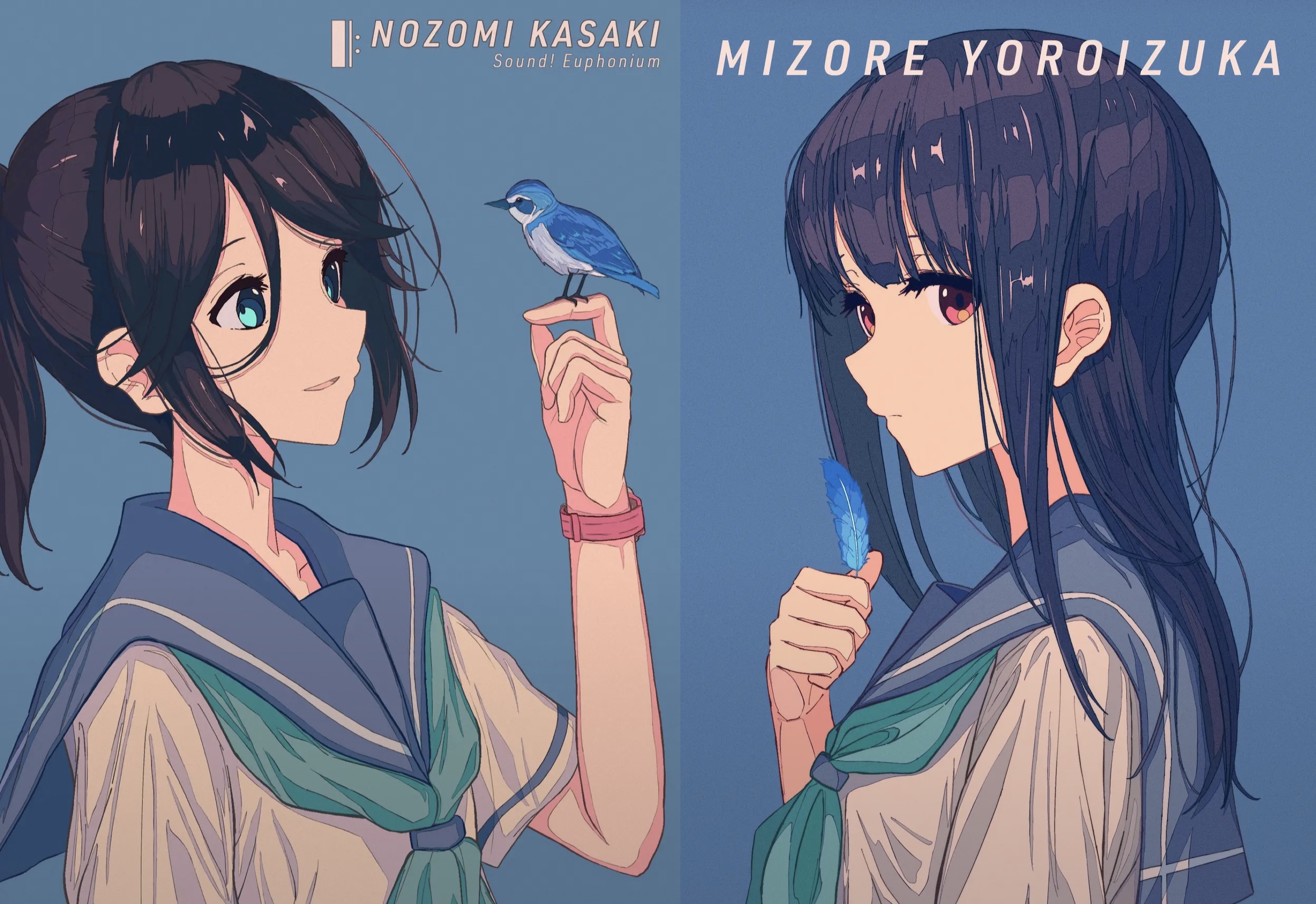 large picture of the cover